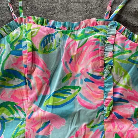 Lilly Pulitzer Dress | Size 0 - Picture 5 of 8